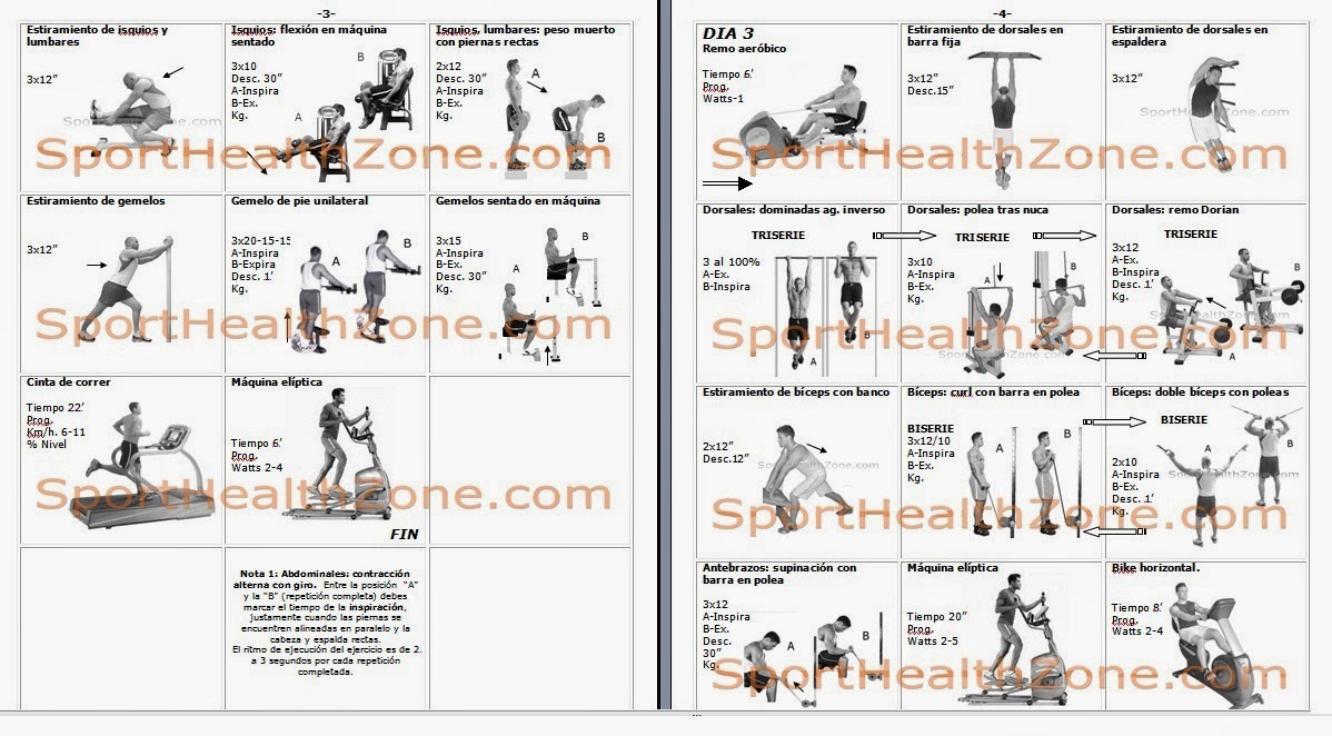 Rutinas gimnasio adelgazar con Rutinas gimnasio adelgazar con